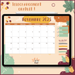 calendrier novembre 2023