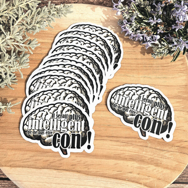 sticker humoristique : Il serait plus intelligent de ne pas être con !