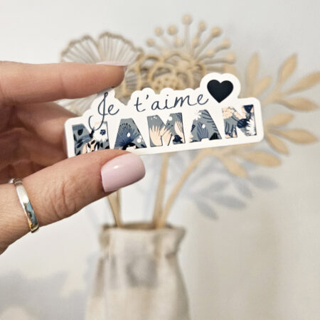 magnet fete des meres